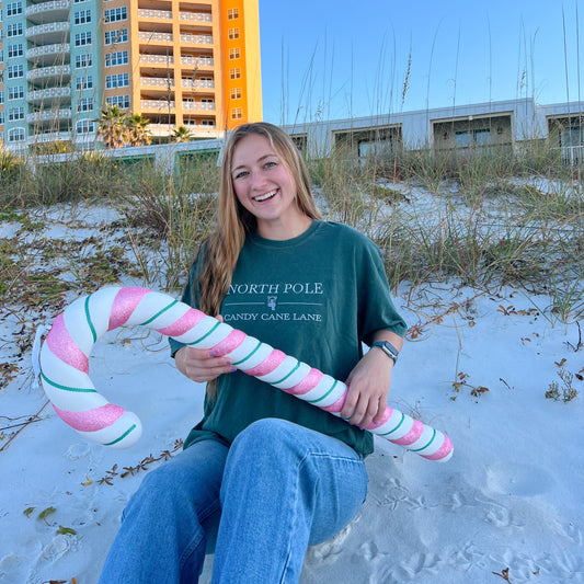 North Pole Embroidered Tee