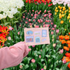 Stamps Sticker Sheet